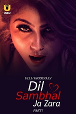 Dil Sambhal Ja Zara Season 1 Part 1