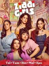 Ziddi Girls Season 1